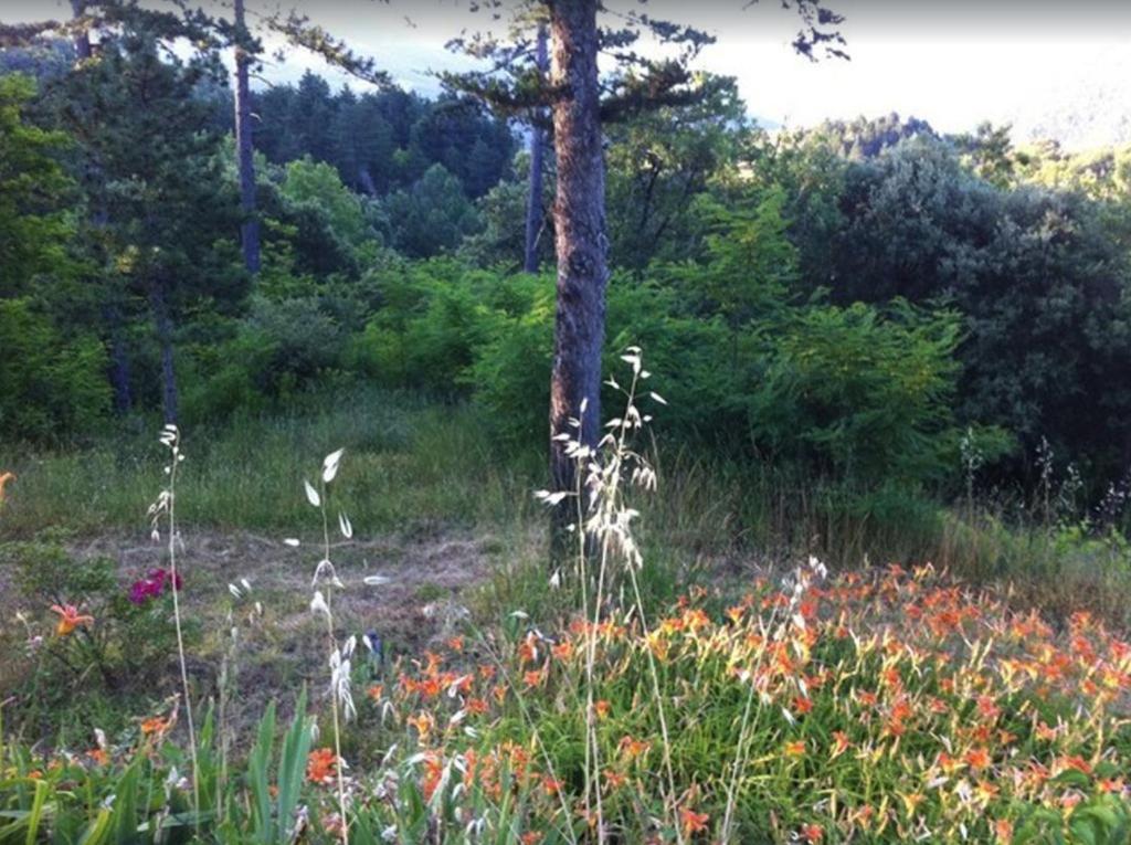 Mas Ferrieres Saint Laurent Picture