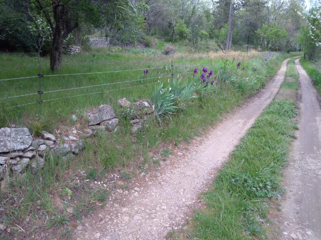 Mas Ferrieres Saint Laurent Picture