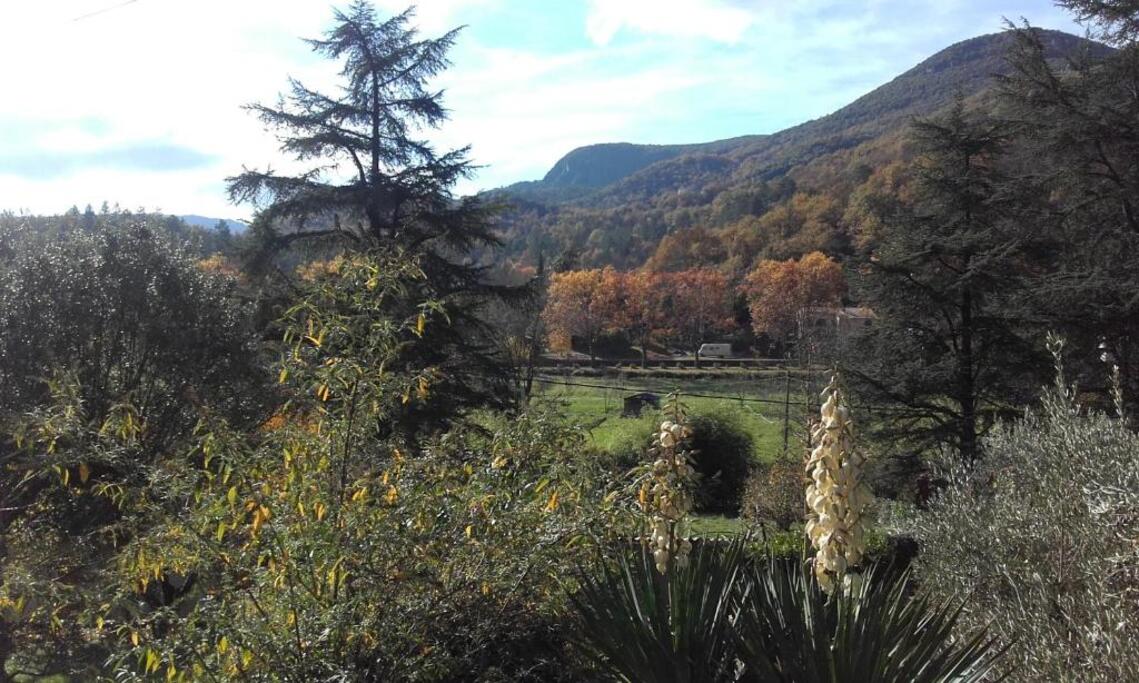 Mas Ferrieres Saint Laurent Picture