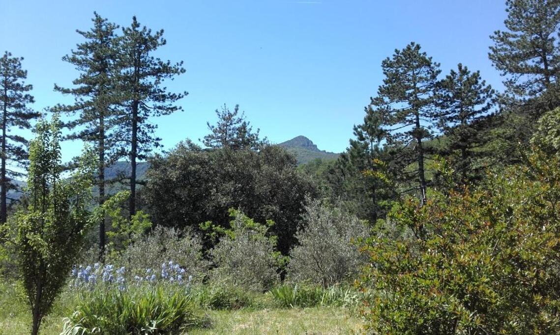 Mas Ferrieres Saint Laurent Picture