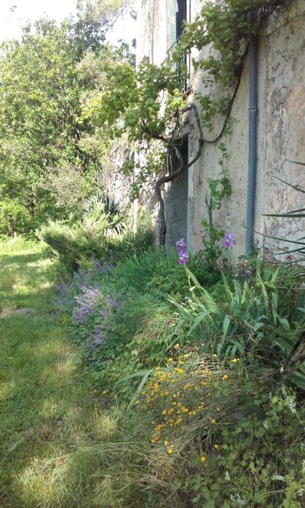 Mas Ferrieres Saint Laurent Picture