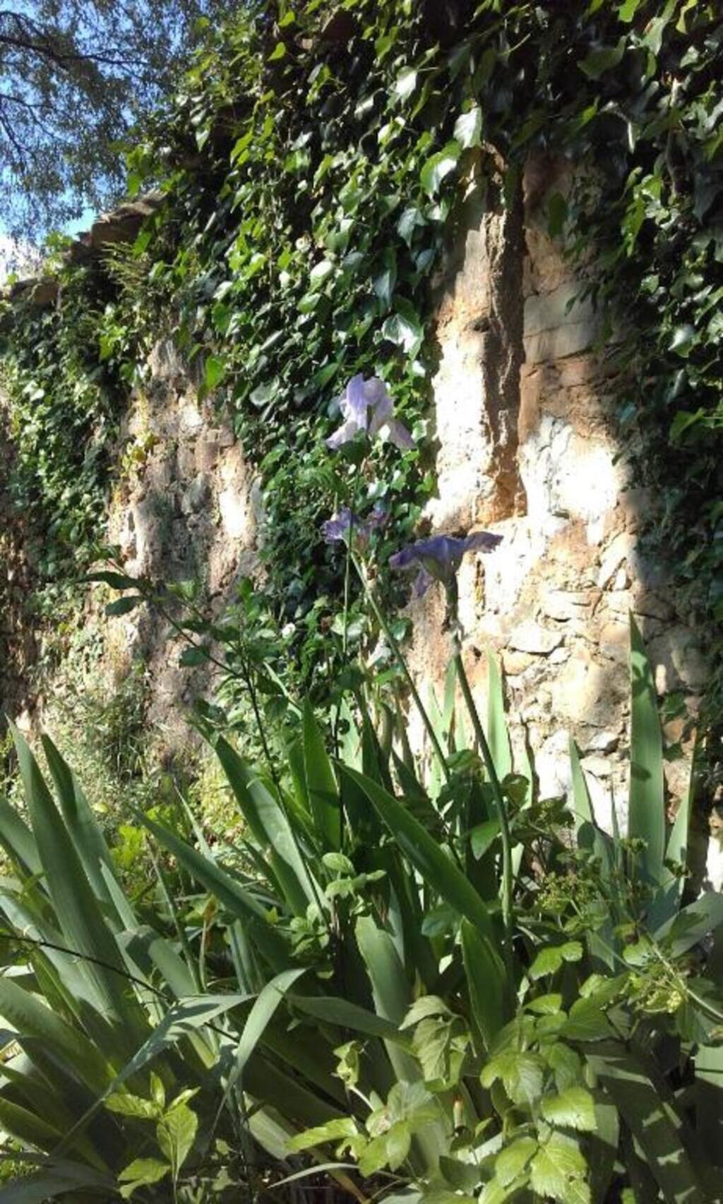 Mas Ferrieres Saint Laurent Picture